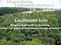 Bürgerschaftswahl am 23.02.2020 in Hamburg – bleibt der letzte Urwald Deutschlands erhalten? ★ Homepage der Bürgerinitiative Stutensee Lachwald-erhalten für mehr Demokratie + Transparenz + Bürgerbeteiligung • auch bei Bürgerbegehren und Bürgerentscheid – Mitglied der BundesBürgerInitiative Waldschutz BBIWS zum Schutz von Wald • Natur und Klima in der Waldkrise mit der Forderung um mehr Beachtung von Umweltschutz • Naturschutz • Klimaschutz und Reform der Waldgesetze