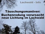 Täuschungsmanöver in der Stutenseer Waldpolitik – 1.Teil: Holzeinschläge im Lachwald ★ Homepage der Bürgerinitiative Stutensee Lachwald-erhalten für mehr Demokratie + Transparenz + Bürgerbeteiligung • auch bei Bürgerbegehren und Bürgerentscheid – Mitglied der BundesBürgerInitiative Waldschutz BBIWS zum Schutz von Wald • Natur und Klima in der Waldkrise mit der Forderung um mehr Beachtung von Umweltschutz • Naturschutz • Klimaschutz und Reform der Waldgesetze