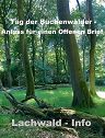 Lachwald-Info zum Tag der Buchenwälder: Offener Brief zum Jubiläum des Weltnaturerbes Buchenwälder in Deutschland und dem Tag der Buchenwälder am 25. Juni 2021 an die Bundesministerin für Ernährung, Landwirtschaft und Verbraucherschutz Julia Klöckner und die Bundesministerin für Umwelt, Naturschutz und nukleare Sicherheit Svenja Schulze ★ Homepage der Bürgerinitiative Stutensee Lachwald-erhalten für mehr Demokratie + Transparenz + Bürgerbeteiligung • auch bei Bürgerbegehren und Bürgerentscheid – Mitglied der BundesBürgerInitiative Waldschutz BBIWS zum Schutz von Wald • Natur und Klima in der Waldkrise mit der Forderung um mehr Beachtung von Umweltschutz • Naturschutz • Klimaschutz und Reform der Waldgesetze