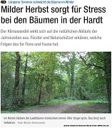 Milder Herbst sorgt für Stress bei den Bäumen in der Hardt - BNN Artikel vom 20.09.2024 – Homepage d. Bürgerinitiative Stutensee